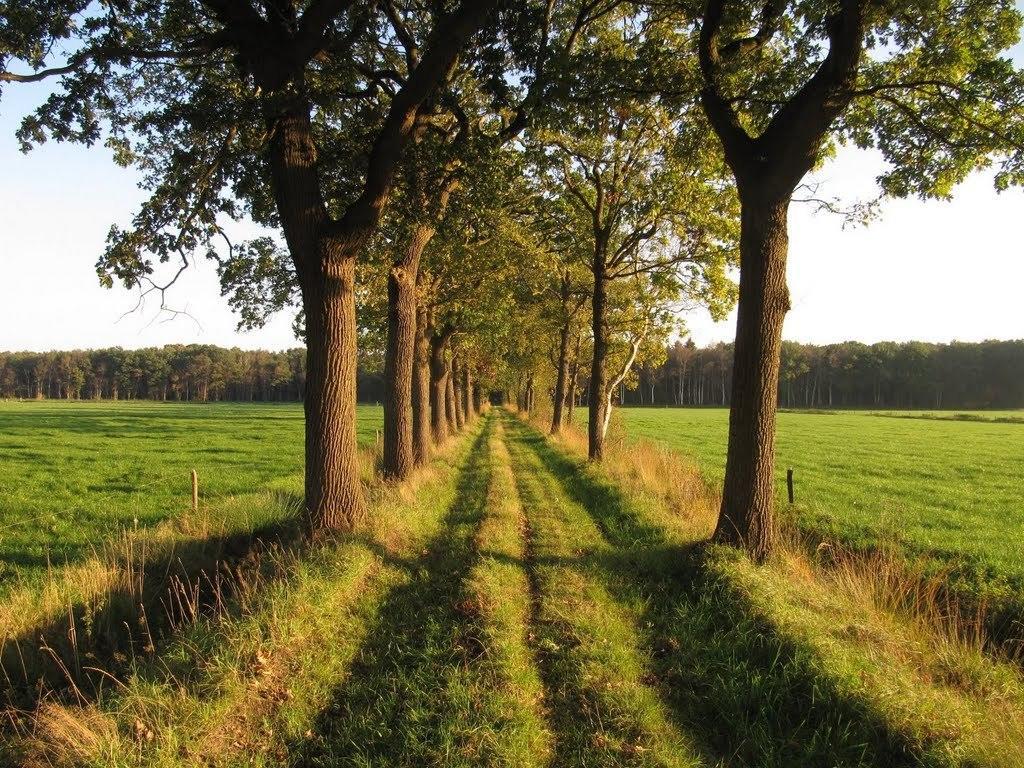 Apartamento Stal Zwartschaap *