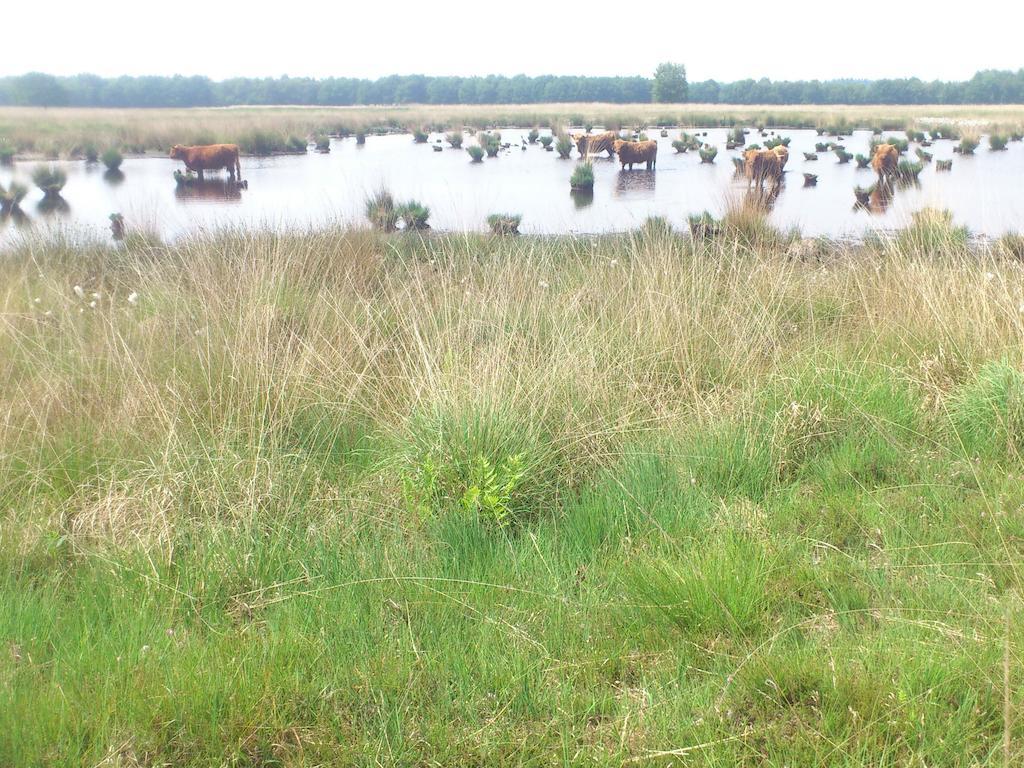 Apartamento Stal Zwartschaap Stuifzand