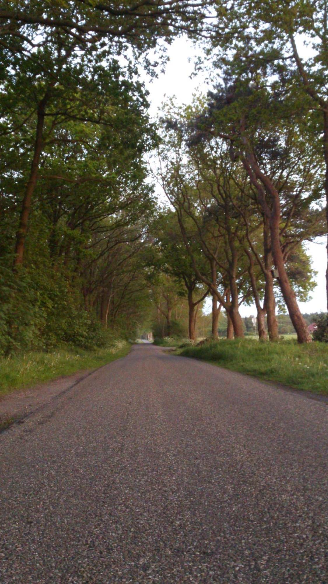 Stal Zwartschaap *